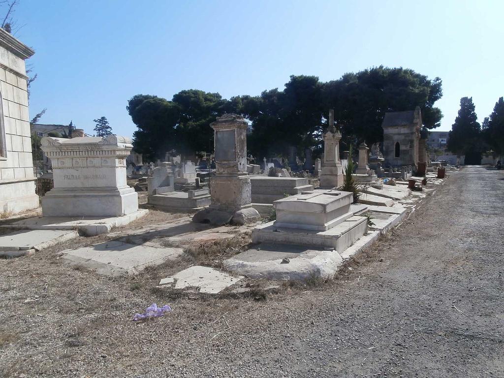 VOYAGE EN ORANIE DU 15 AU 22 SEPTEMBRE 2017 (316).JPG